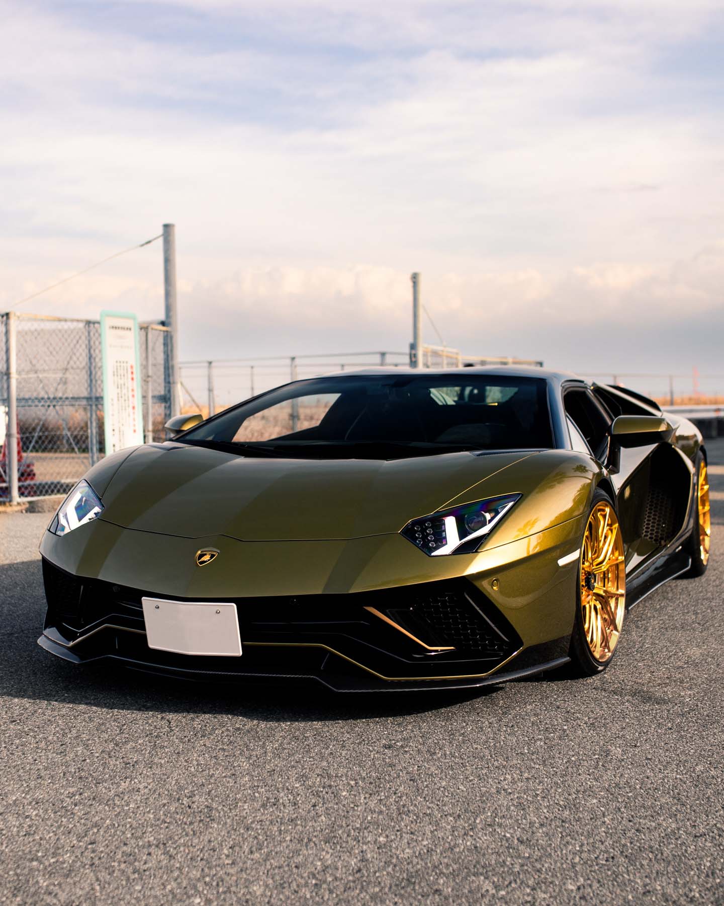 Green Lamborghini Aventador Ultimae - MV Forged | Bespoke Wheels