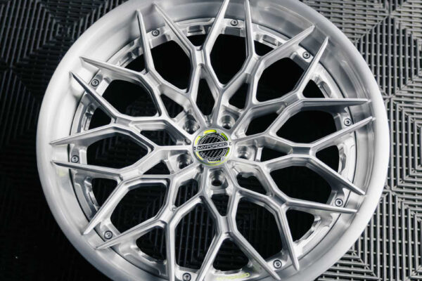 sl-200-1_53739531086_o