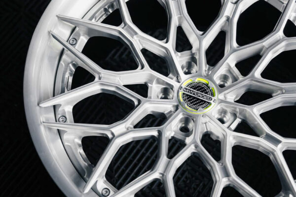 sl-200-2_53739531091_o