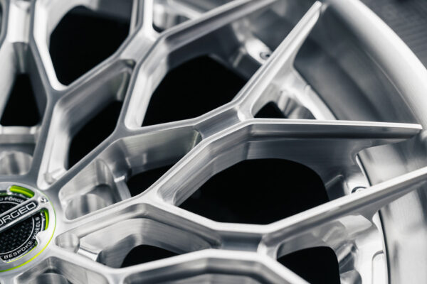 sl-200-5_53739862464_o