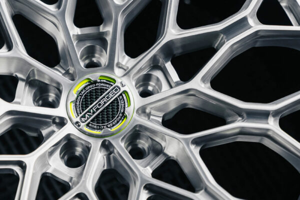 sl-200-8_53739862459_o