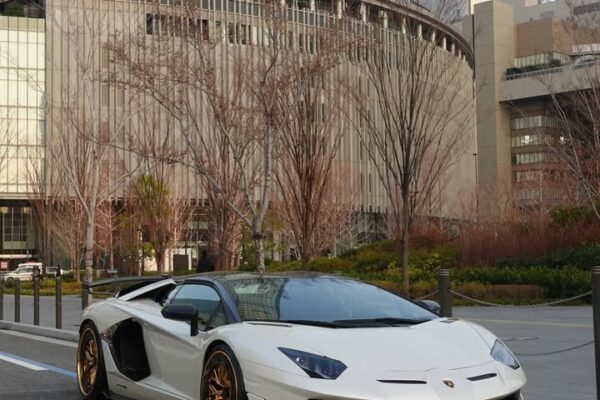 tyle.r980_1768652307_3812054308566051222_64216836159 (1)