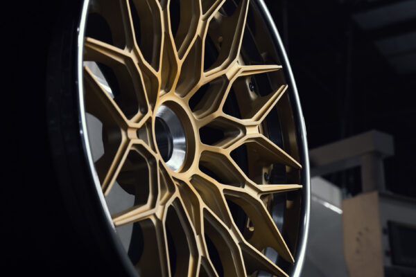 5c4a1068_53213417419_o