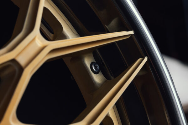 5c4a1129_53213338628_o