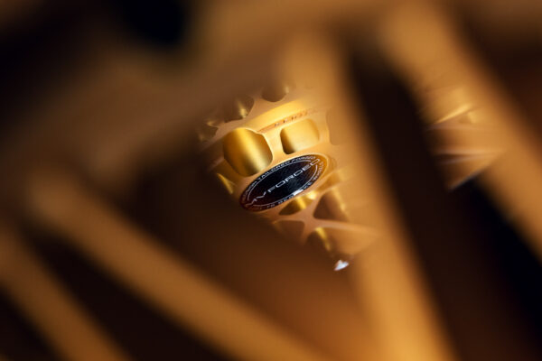 5c4a9583_53690938002_o