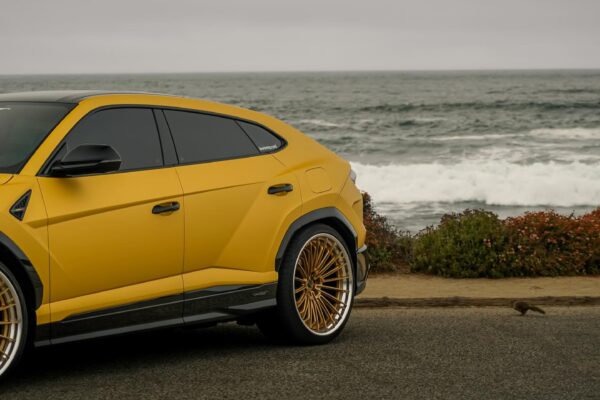 wisman.flicks_1763166647_3766037254906018938_68026324129