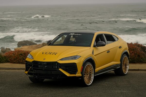 wisman.flicks_1763166647_3766037254914376837_68026324129 (1)