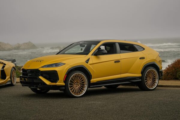 wisman.flicks_1763166647_3766037254914385003_68026324129 (1)