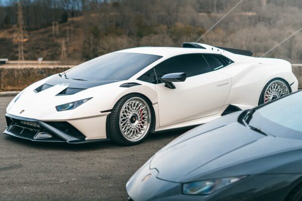 mvforged_1771027582_3831979548670578371_2548568408