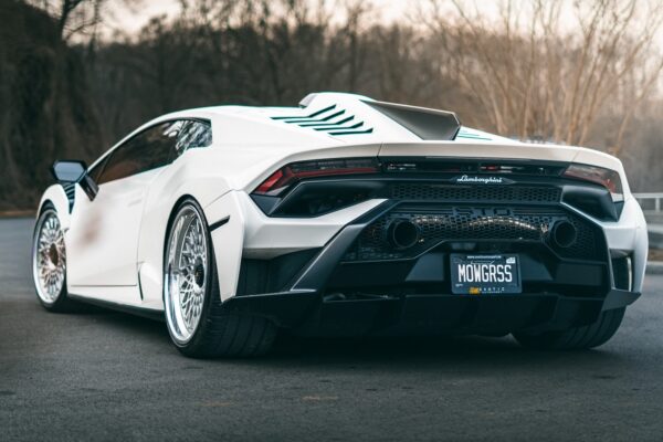 mvforged_1771027582_3831979549509427350_2548568408